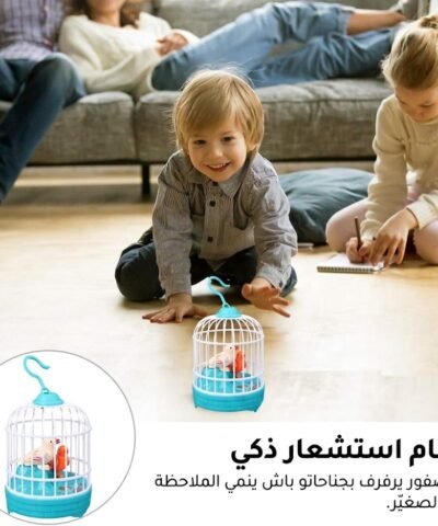 Oiseaux chanteurs pour jouets pour enfants